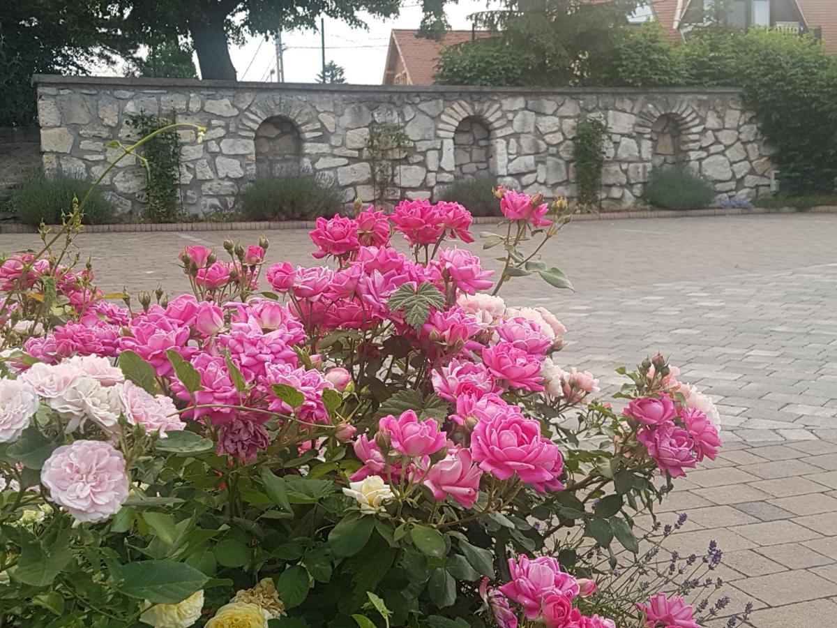 Huber Panzio Bed & Breakfast Fertőrákos Екстериор снимка